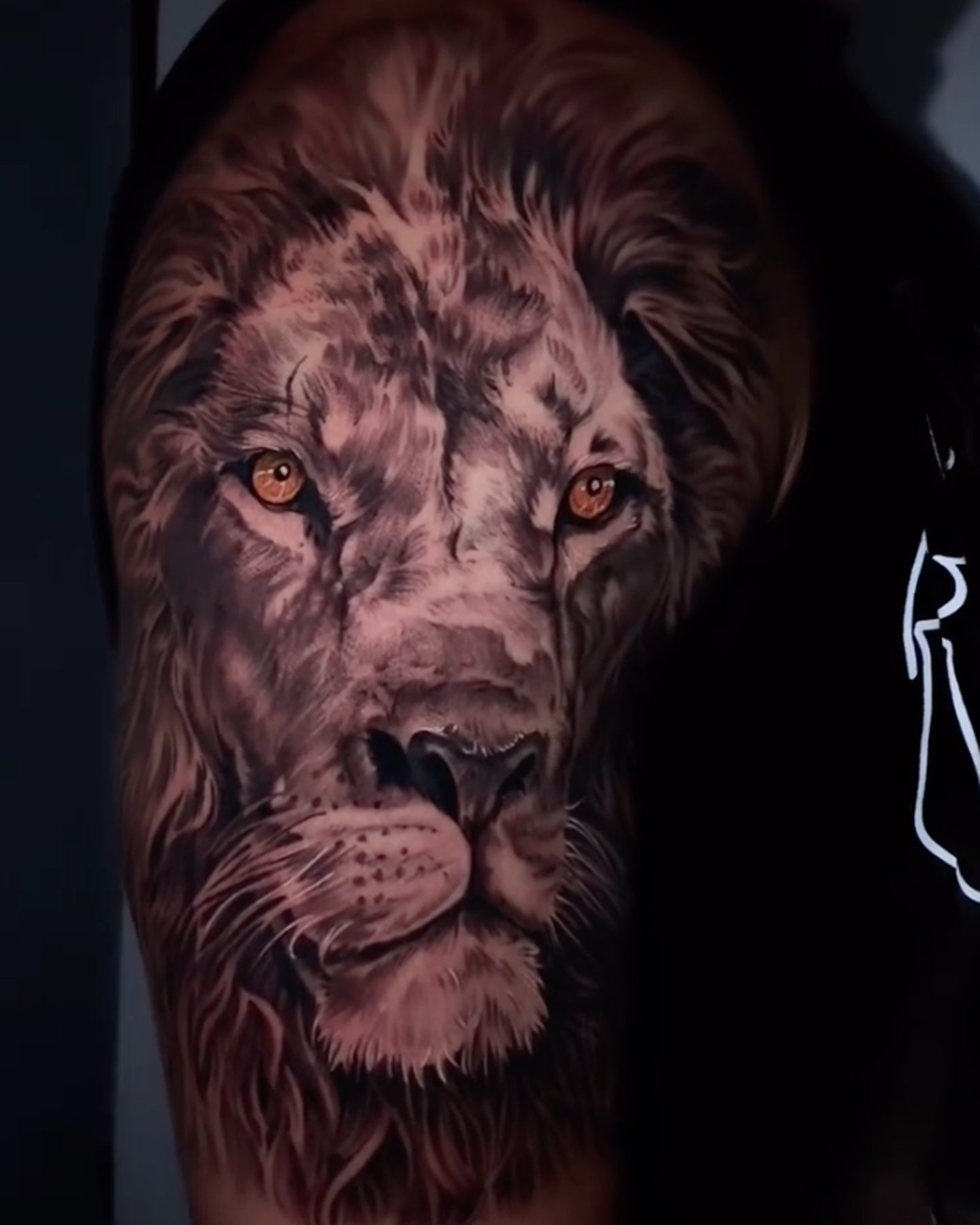Black and gray realism lion portrait by Javi at Beach Park Tattoo Kailua