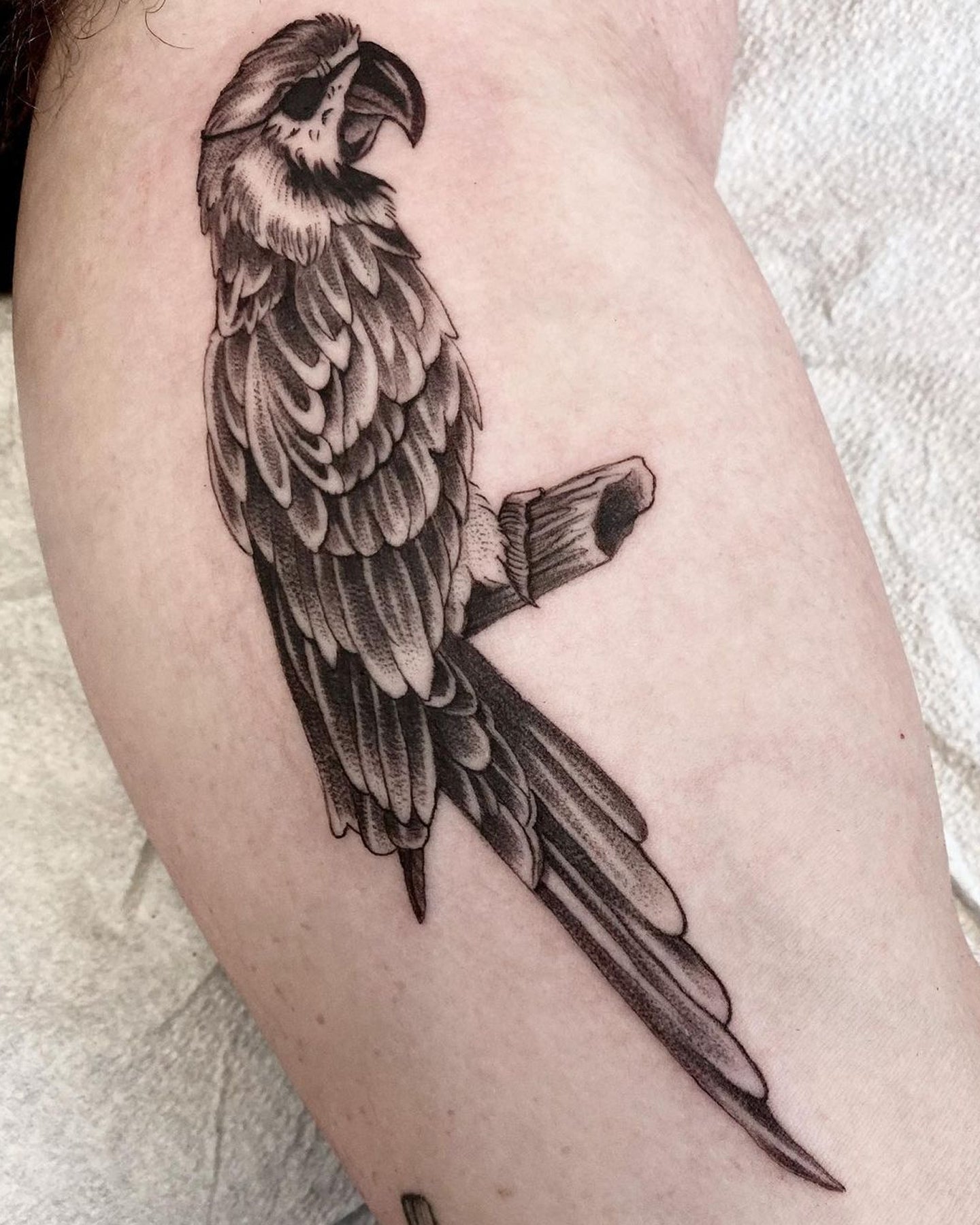 Javi tattoo work at Beach Park Tattoo