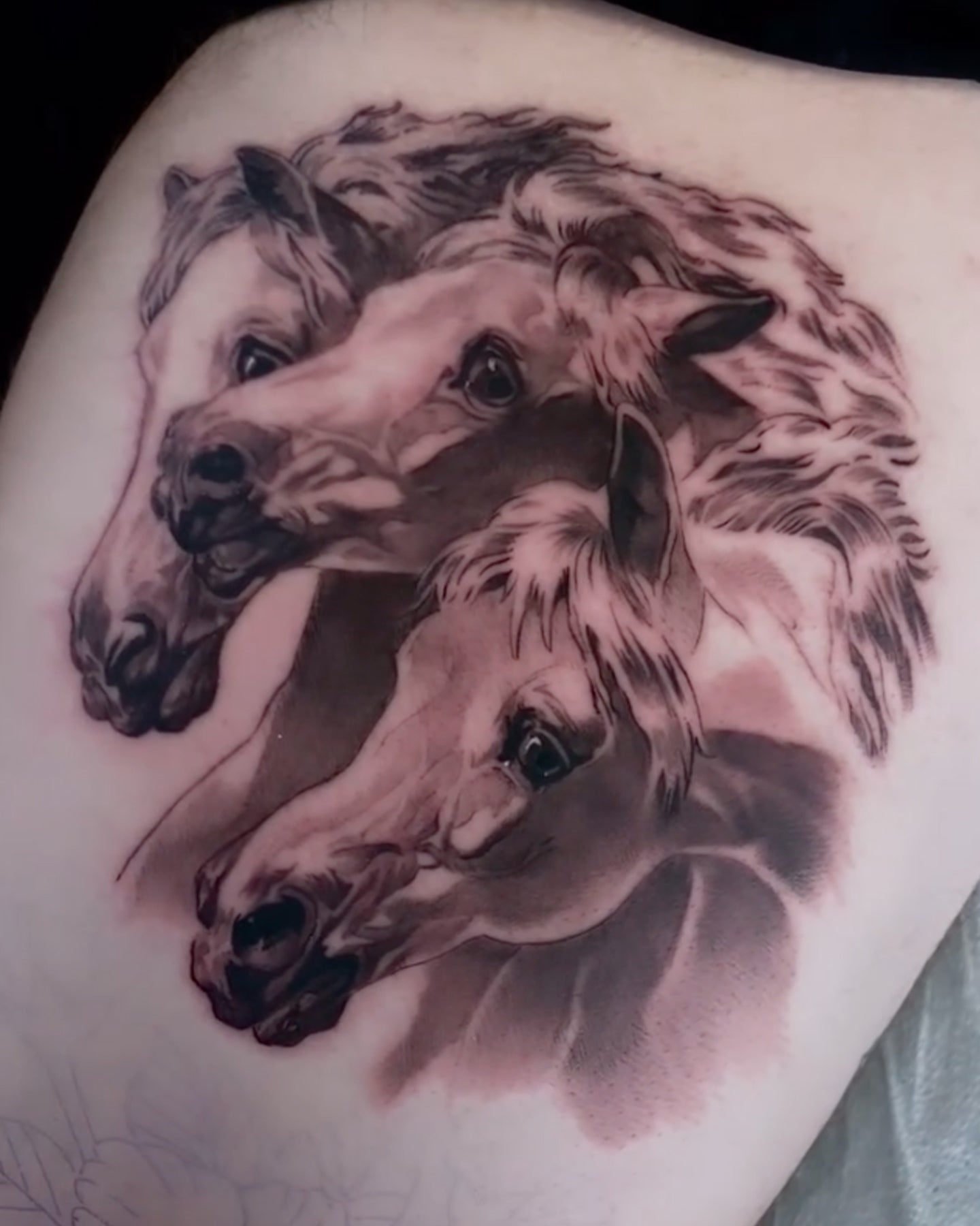 Javi tattoo work at Beach Park Tattoo